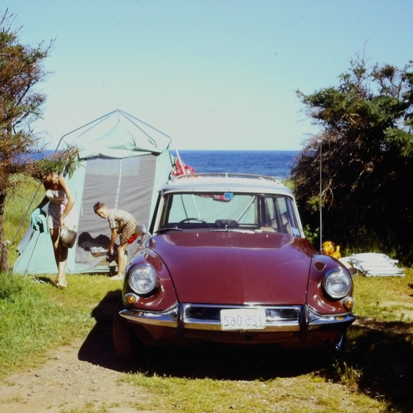 💥SOLD💥IRONSTONE fish dishes - Picture 11 of 12